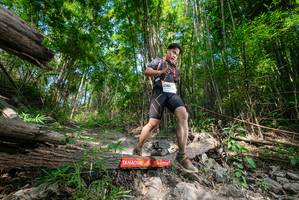 BIB: 
                            <button type="button" onclick="openModal(19389229)" class="btn btn-primary btn-sm float-right btn-popup" data-toggle="modal" data-target=".modal-high-quality">
                        <i class="fas fa-shopping-cart"></i> Add to Cart
                    </button>
                                            <button type="button" onclick="isThisMe(19389229, true)" class="btn btn-success btn-sm float-right btn-popup btn-isme hidden" data-toggle="tooltip" data-placement="bottom" title="นี่คือรูปของคุณใช่ไหม คลิกที่นี่เพื่อเอาเข้าอัลบั้ม">
                        <i class="fas fa-plus"></i> Add to album
                    </button>
                    <button type="button" onclick="isThisMe(19389229, false)" class="btn btn-warning btn-sm float-right btn-popup btn-isnotme hidden">
                        <i class="fas fa-ban"></i> Remove from album
                    </button>